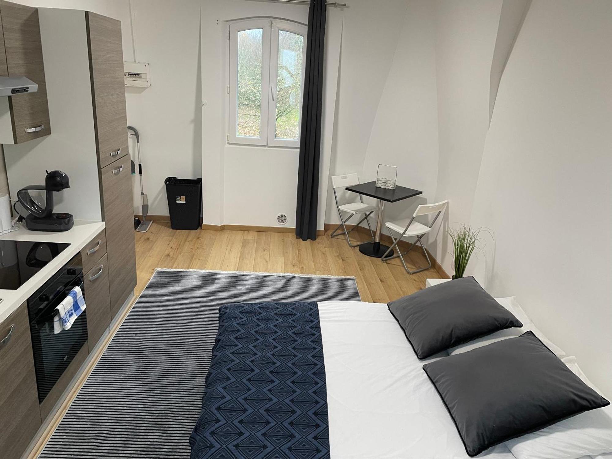 Studio Tres Agreable A Chessy Экстерьер фото